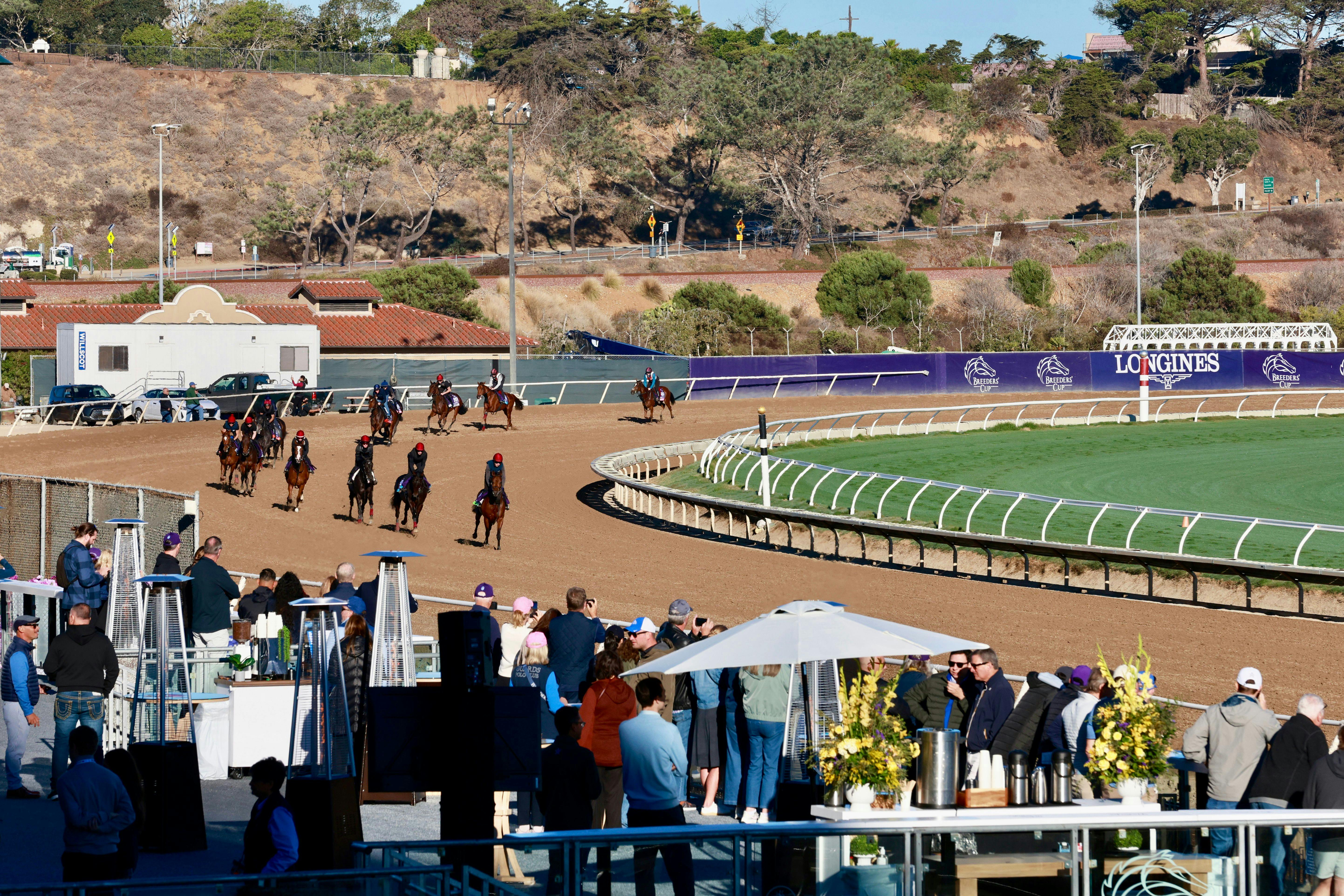 Trainer Aidan O'Brien's Breeders' Cup contenders for 2025 at Del Mar