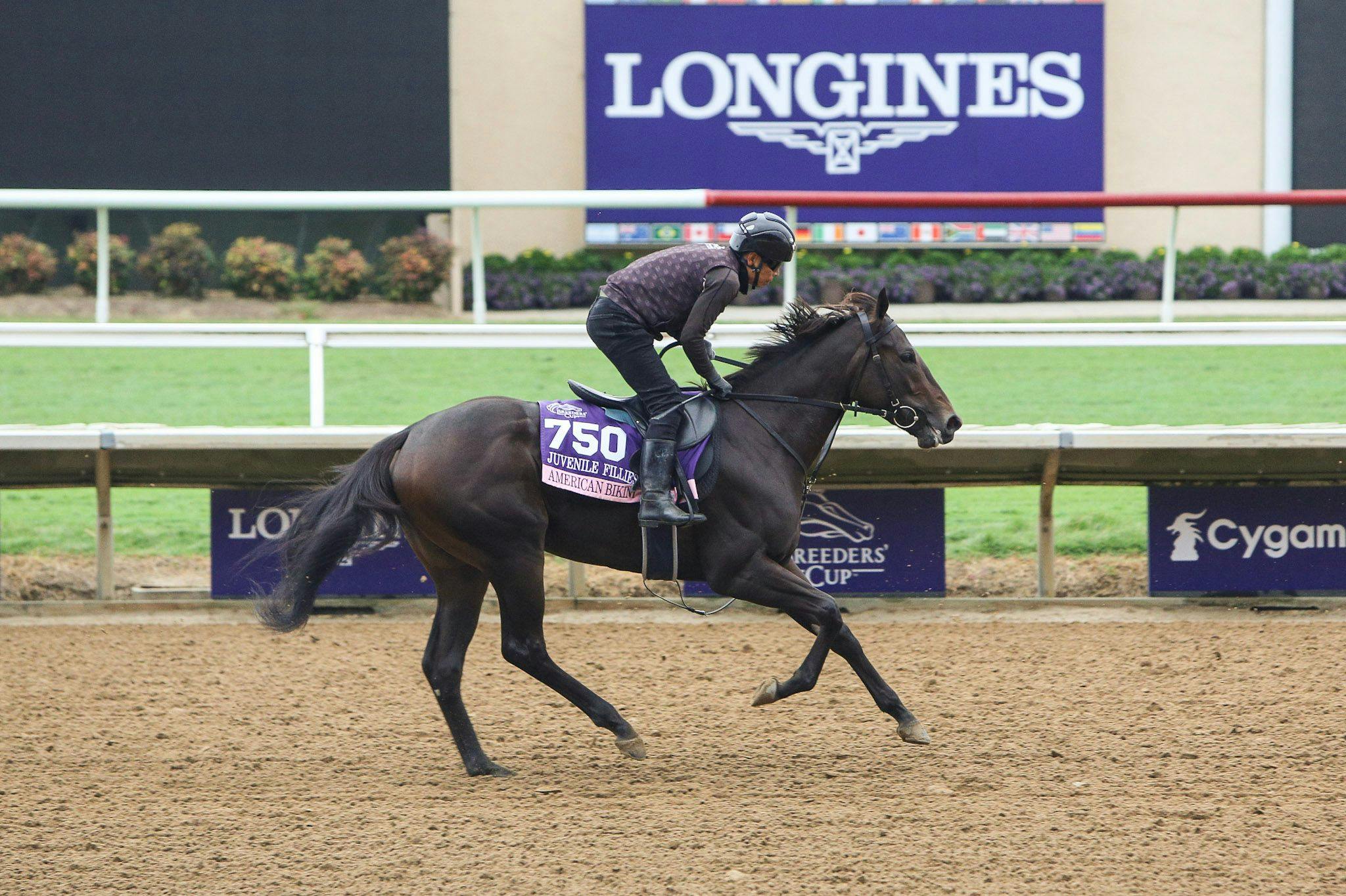 Five questions for 2024 Breeders’ Cup Future Stars Friday TwinSpires