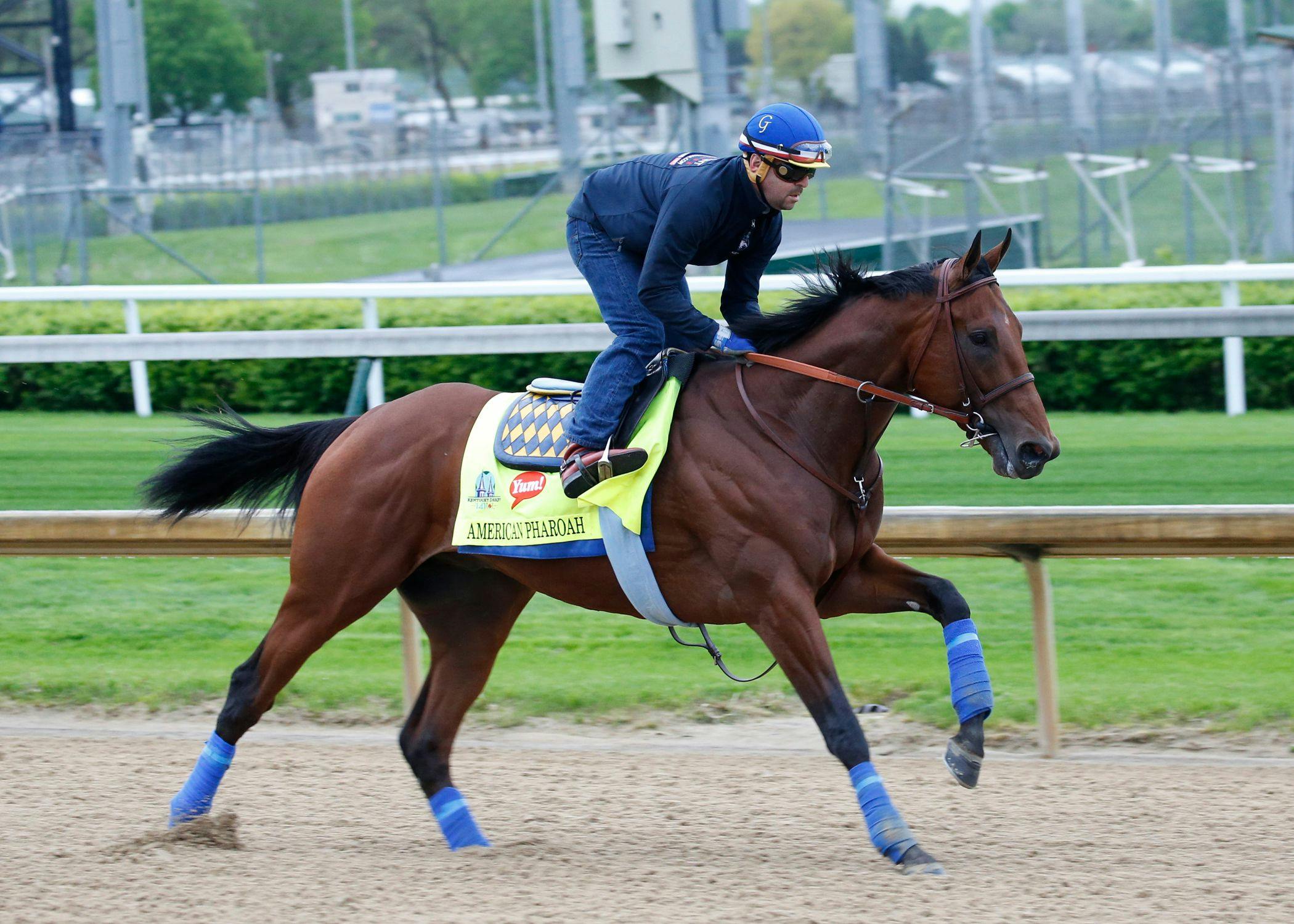 Horse racing on online tv tomorrow