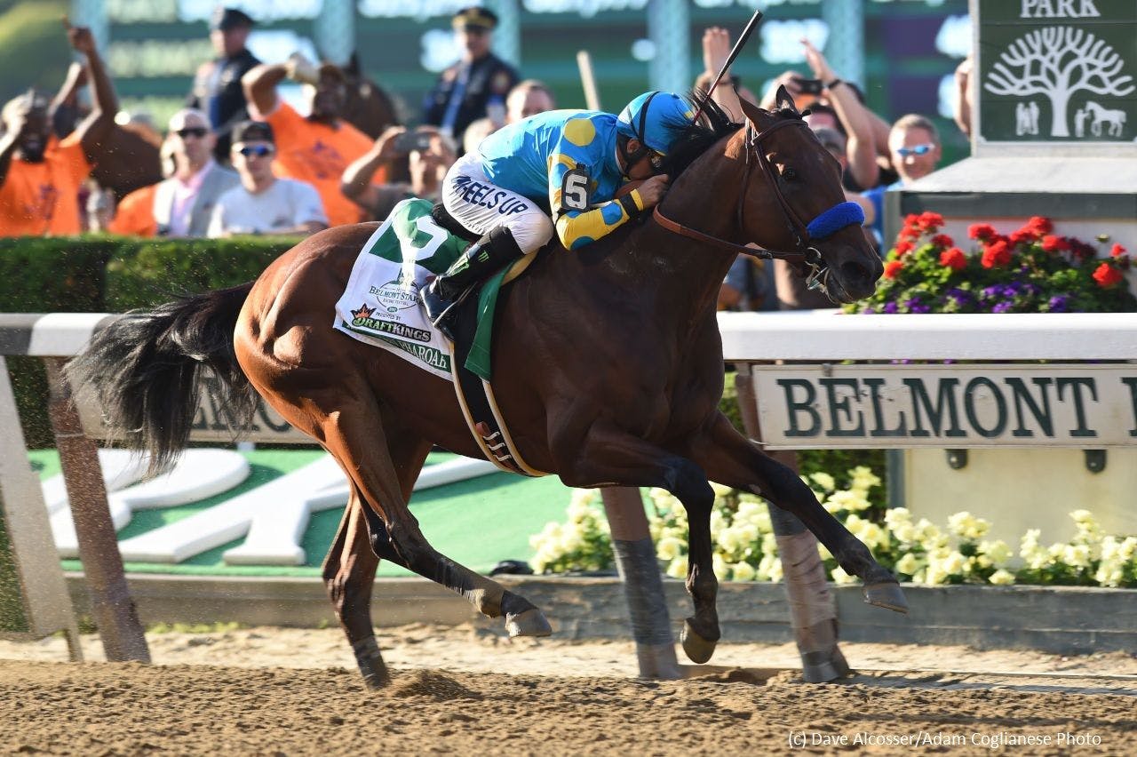 2024 Belmont Stakes Odds Live Odds & Betting Favorites TwinSpires
