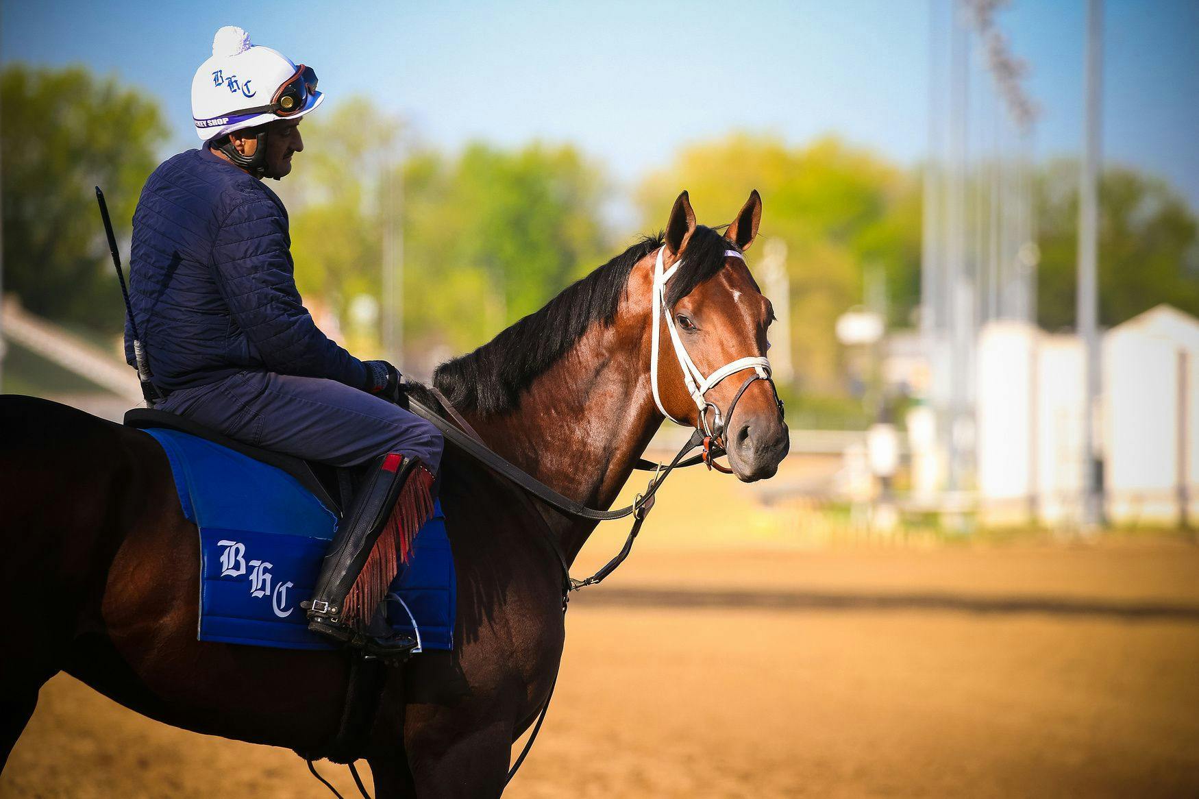 Dosage Index, foaling dates for 2023 Kentucky Derby contende TwinSpires