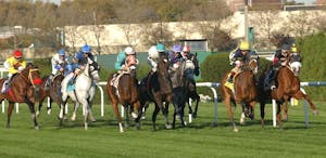 Turf racing at Aqueduct.