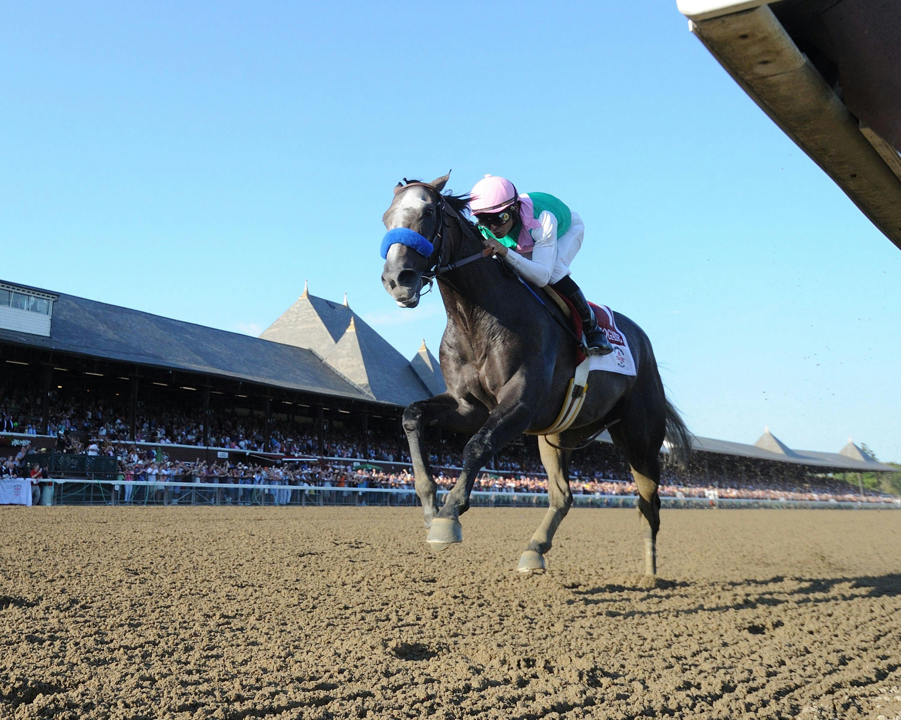 By The Numbers Saratoga's Travers Stakes TwinSpires