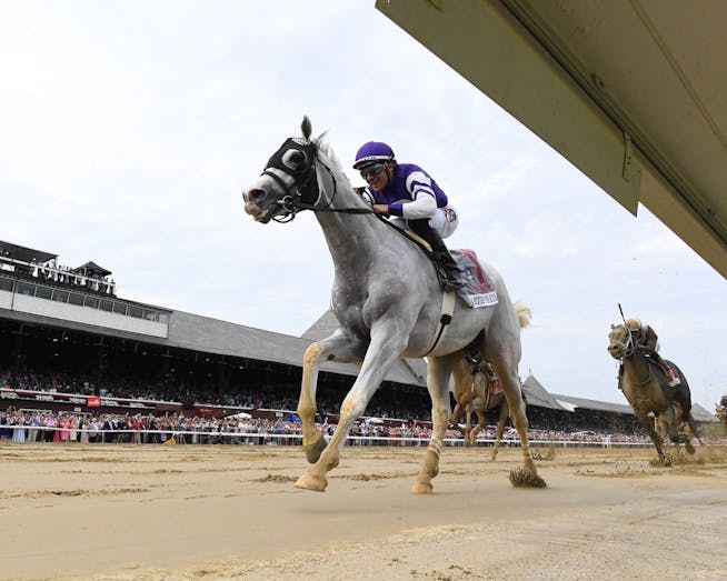 Meet the Contenders 2024 Breeders Cup Classic TwinSpires