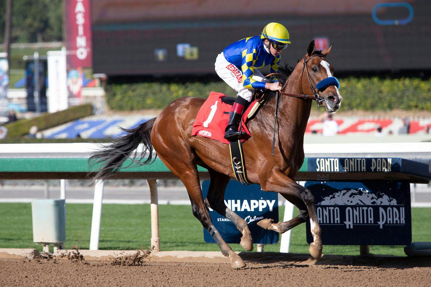 Which Preakness contender should you bet on? | TwinSpires