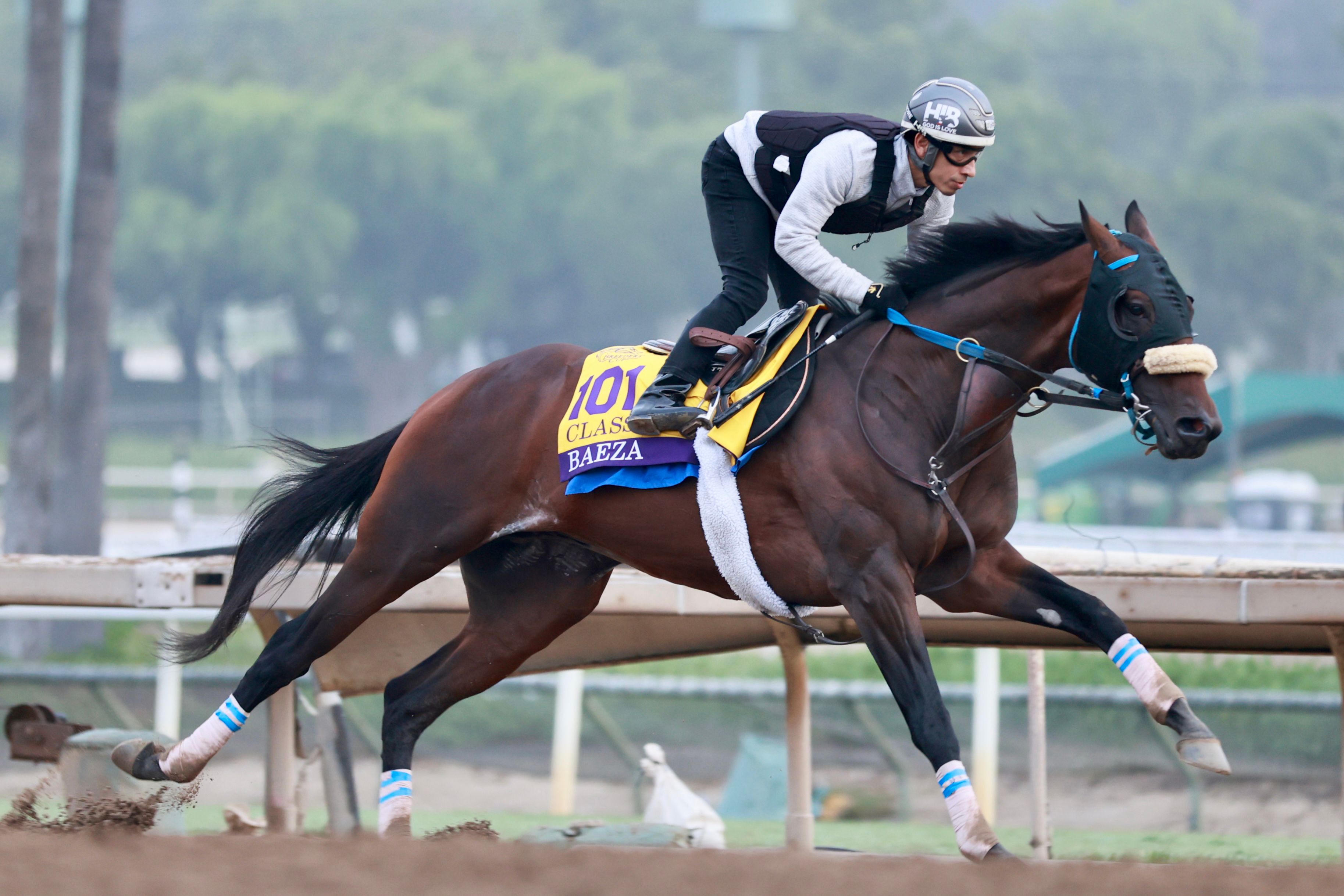 Baeza training for the Breeders' Cup
