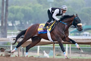 Baeza training for the Breeders' Cup