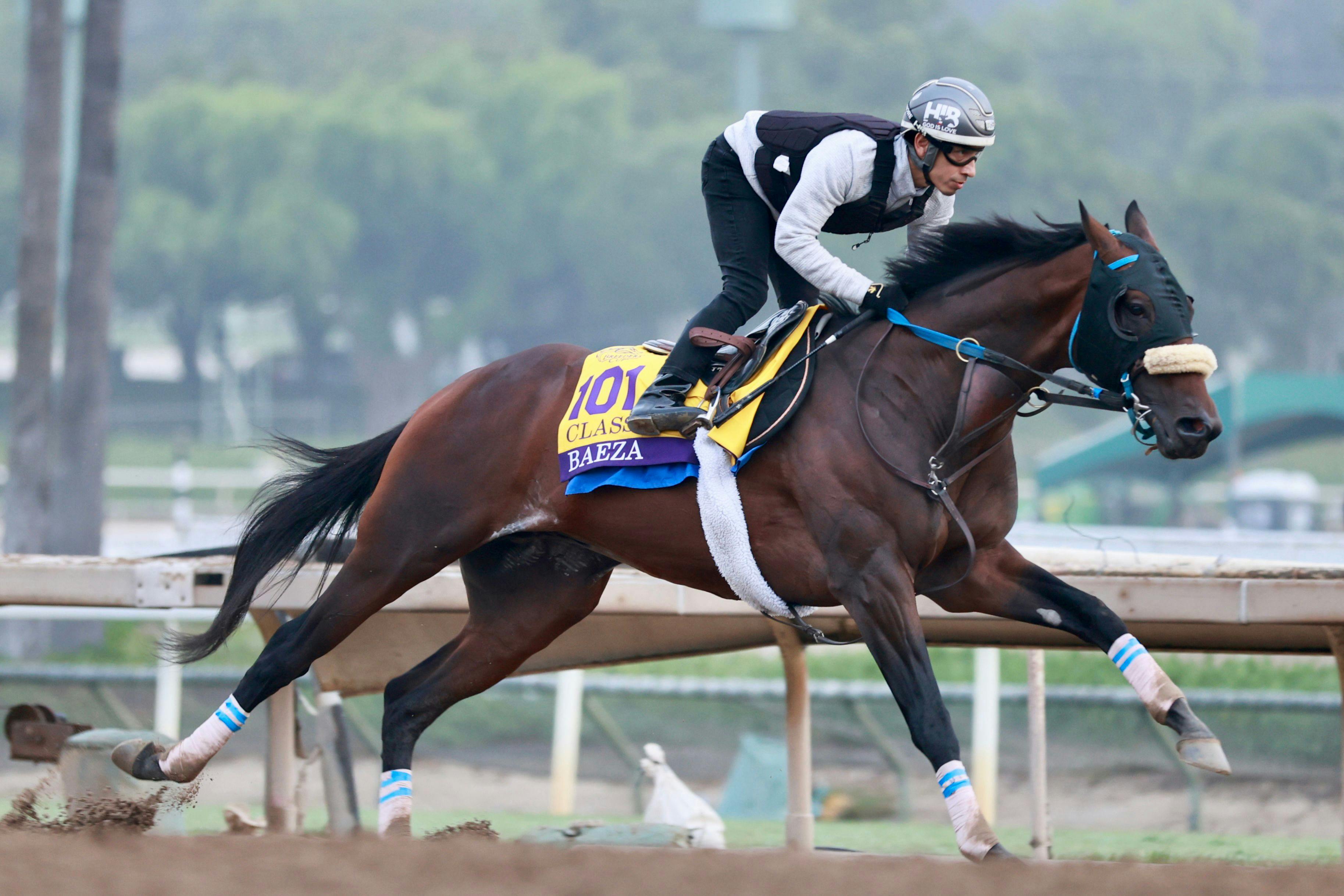 Baeza training for the Breeders' Cup