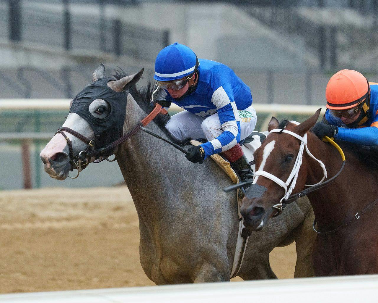 Ballerina d'Oro wins the Gazelle (G3) at Aqueduct