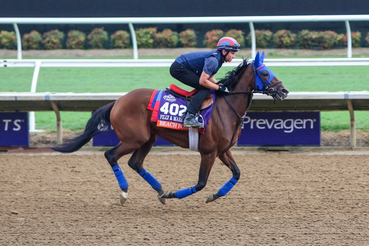 Beach Bomb works our prior to the Breeders' Cup. 