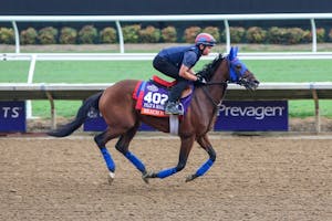 Beach Bomb works our prior to the Breeders' Cup. 