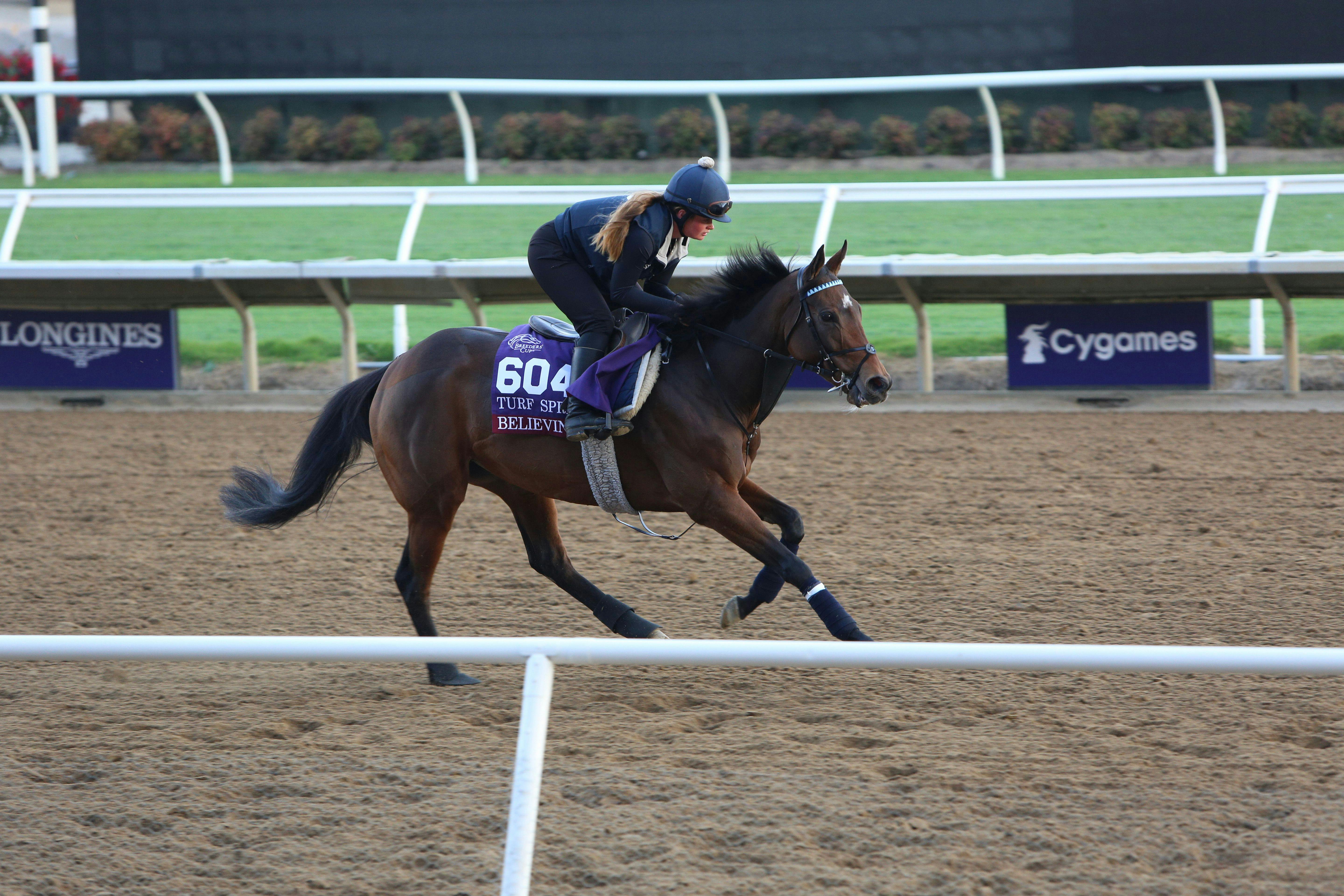 Believing works out prior to the Breeders' Cup. 