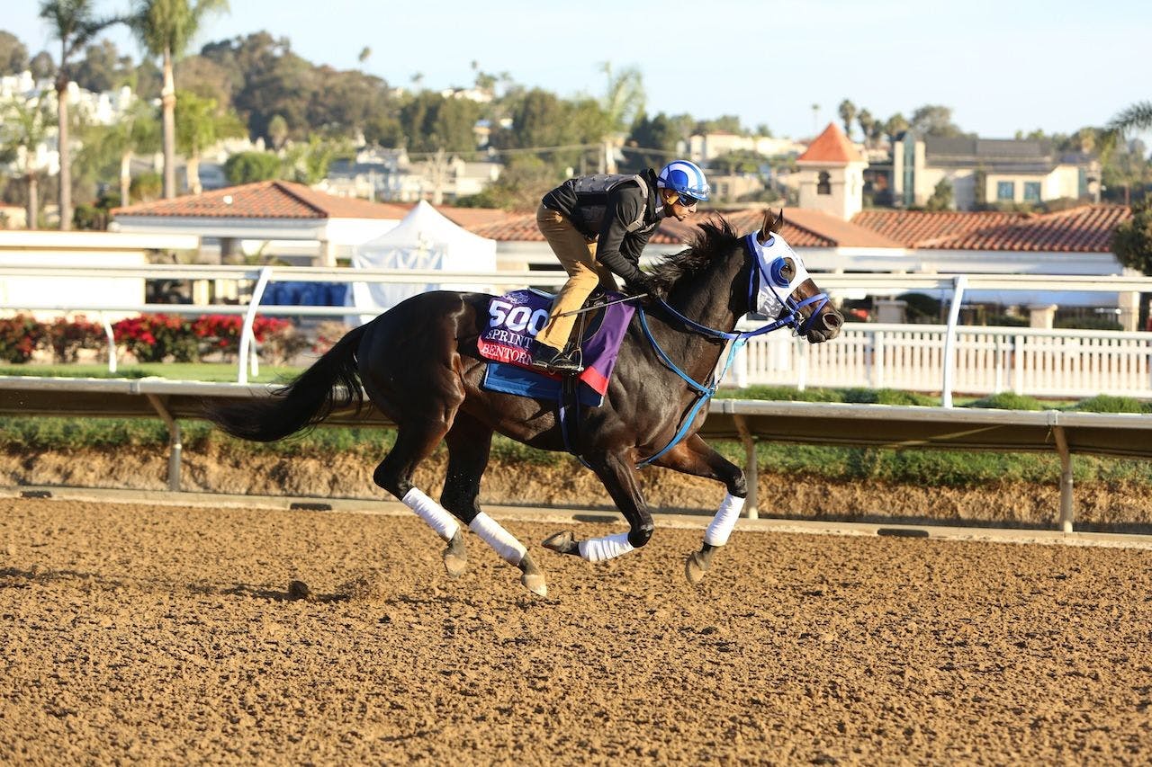 Bentornato gets a workout ahead of Breeders Cup