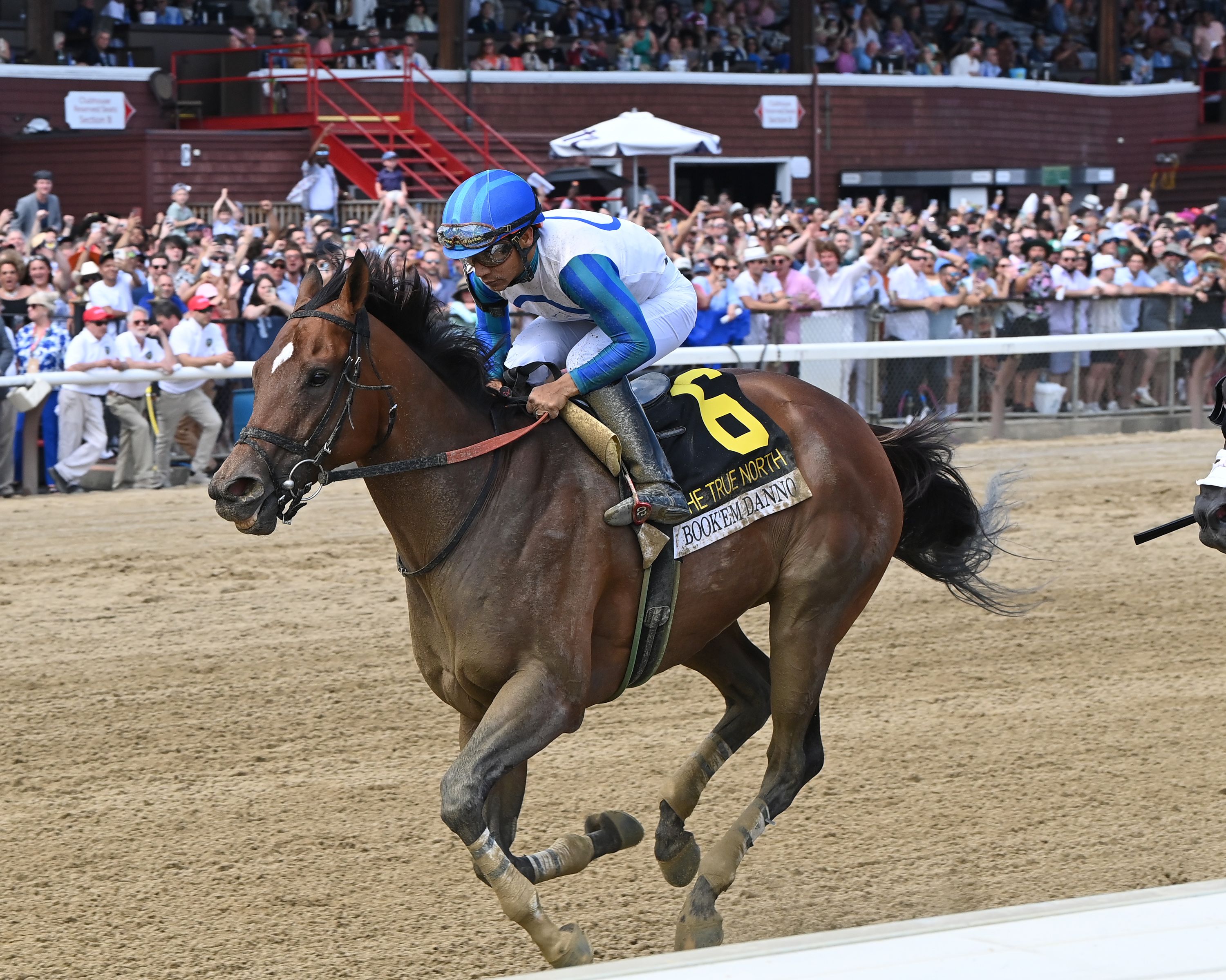Book'em Danno after winning the True North (G3) at Saratoga.