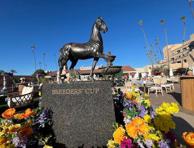 2024 Breeders’ Cup Picks Predictions and Odds for All Horses TwinSpires