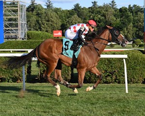 Bring Theband Home wins the Harvey Pack at Saratoga.