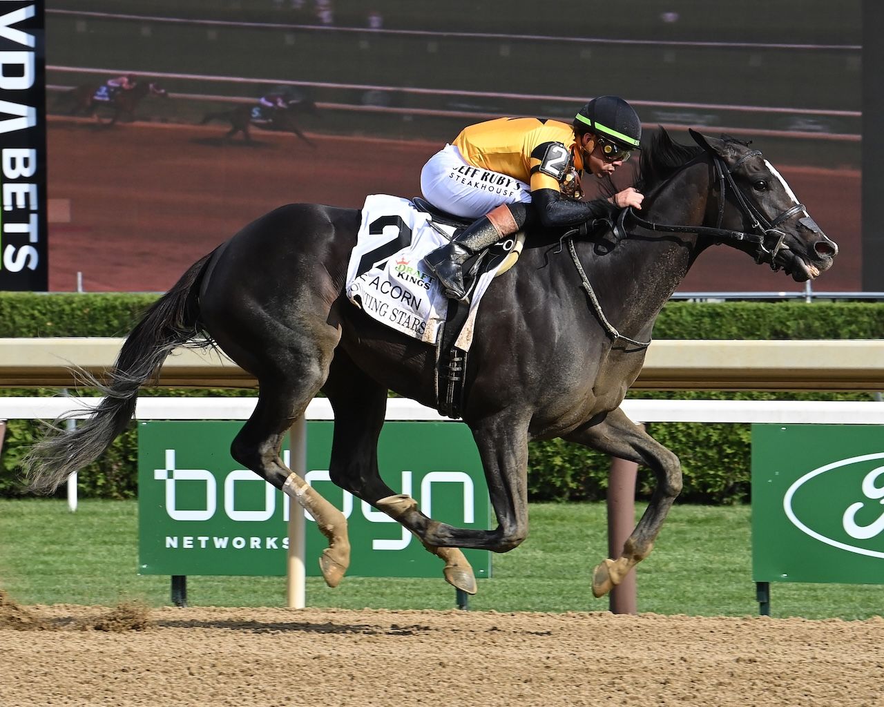 Counting Stars wins the Acorn Stakes at Saratoga. 