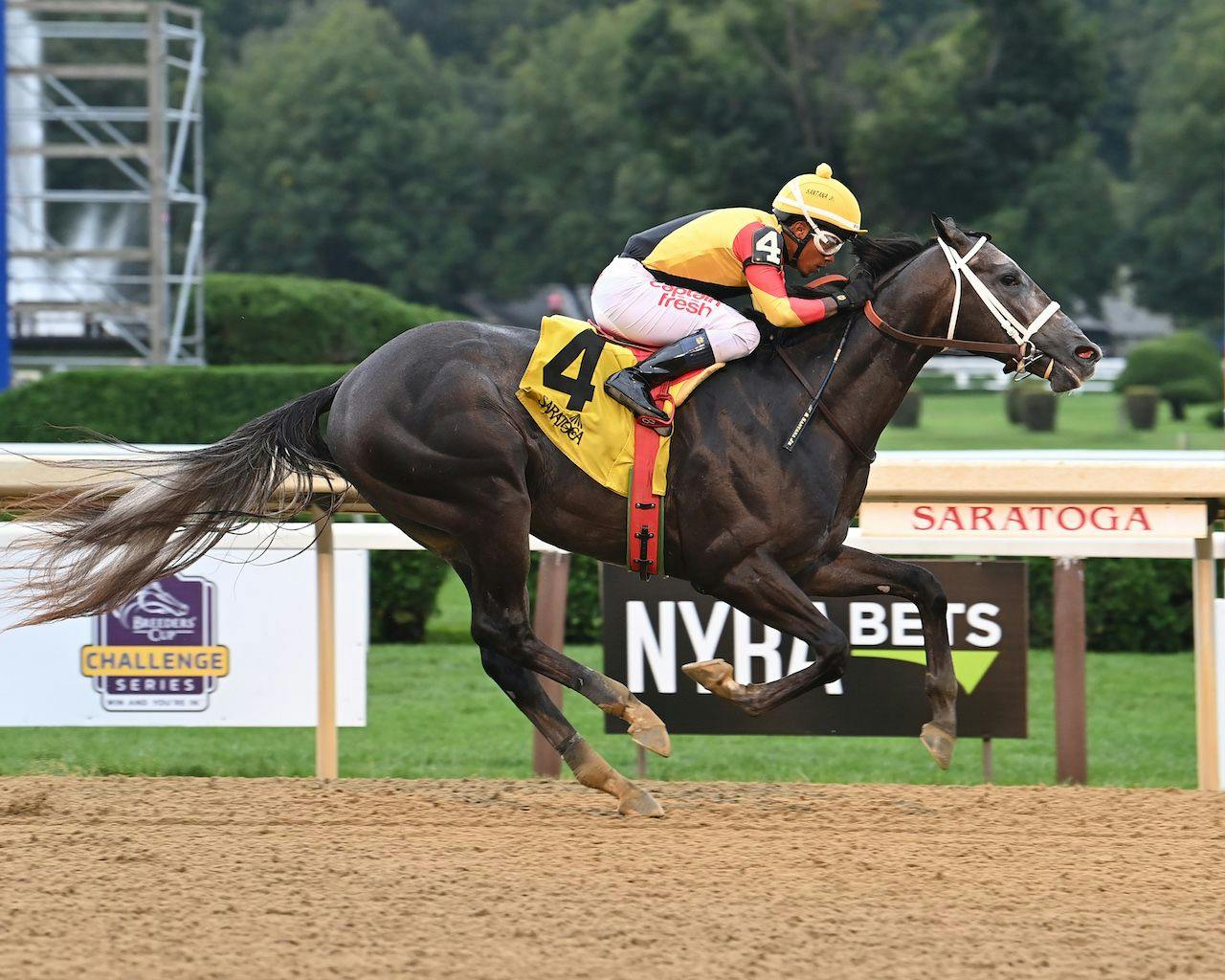 Dapper Moon wins at Saratoga