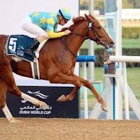Derma Sotogake winning the UAE Derby (G2) at Meydan in Dubai (