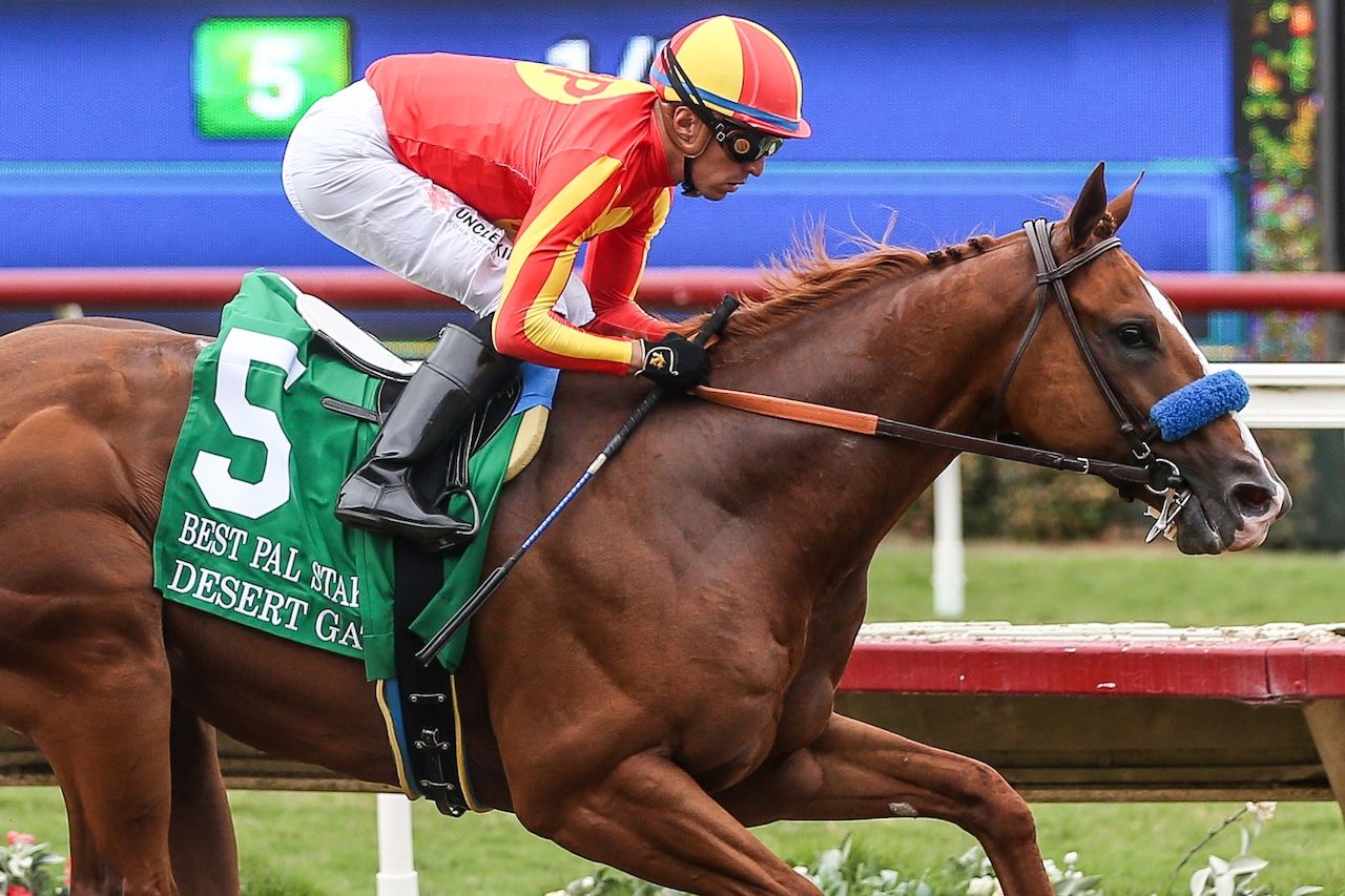 Desert Gate wins the Best Pal Stakes. 