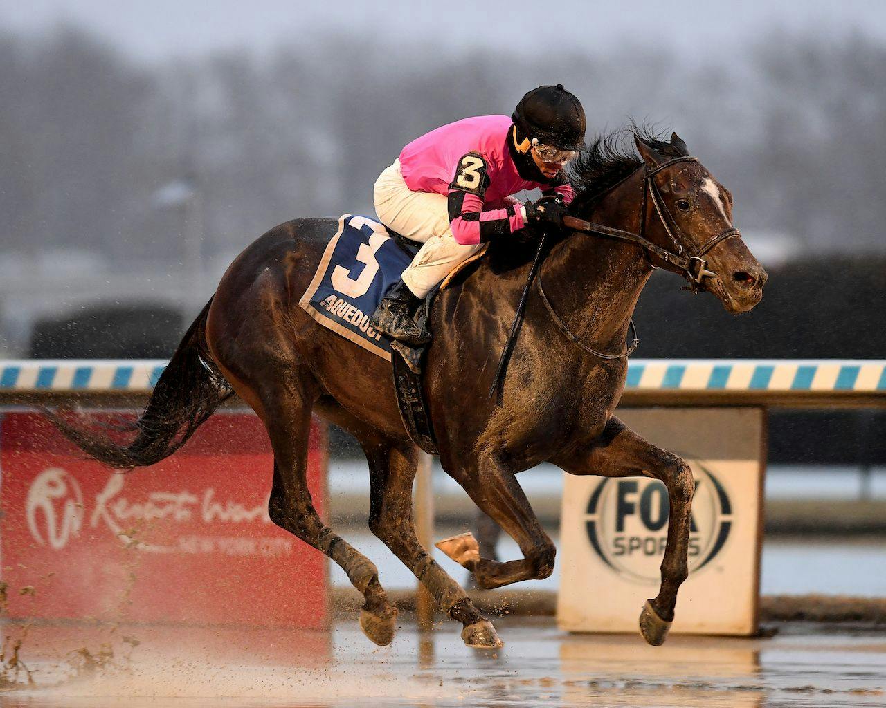 Deterministic winning the Gotham (G3) at Aqueduct (Photo by Coglianese Photos/Chelsea Durand)