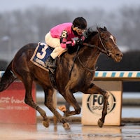 Deterministic winning the Gotham (G3) at Aqueduct (Photo by Coglianese Photos/Chelsea Durand)