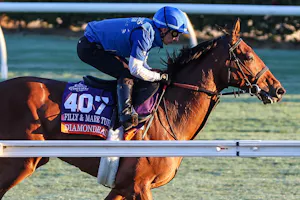 Diamond Rain training for the 2025 Breeders' Cup Filly & Mare Turf (G1) 