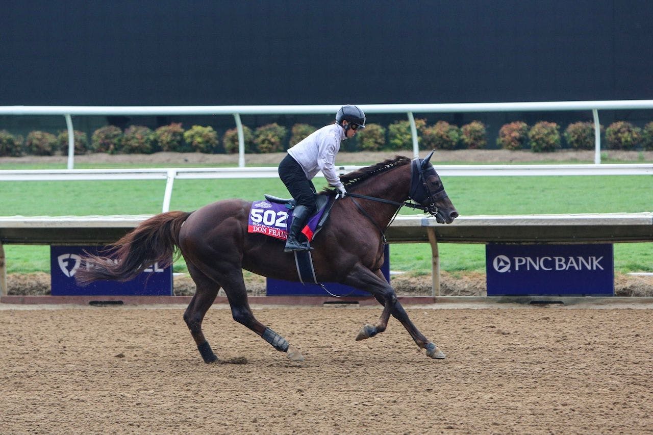 Don Frankie works out prior to the Breeders' Cup races.