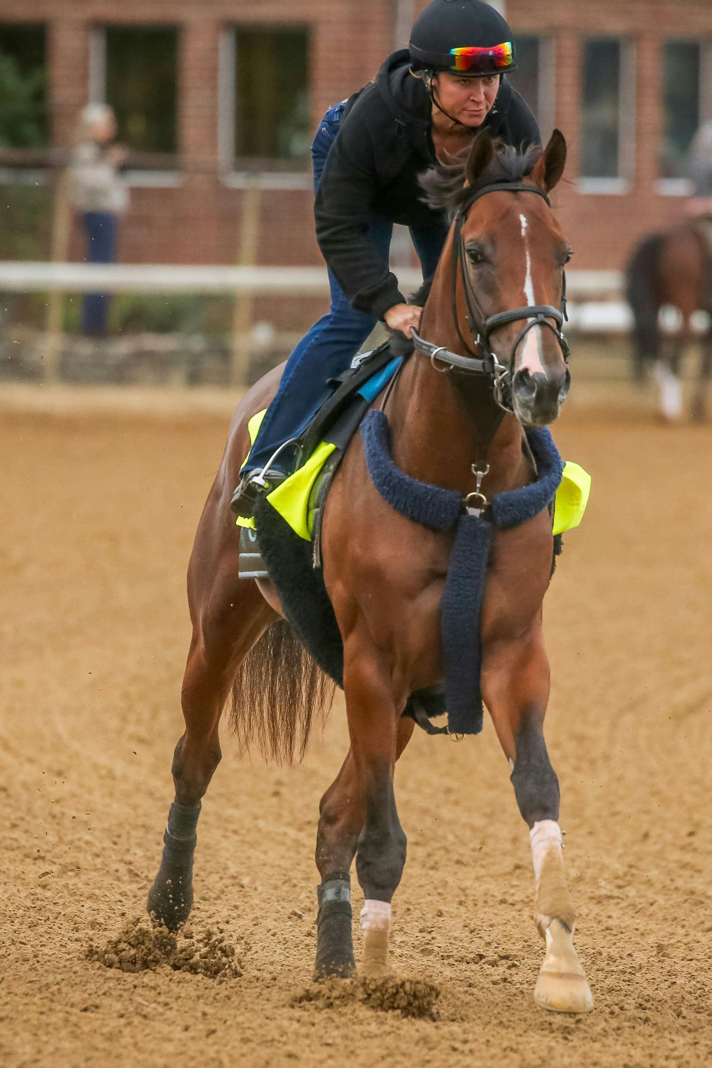 Dornoch training towards the Kentucky Derby (Photo by Horsephotos.com)