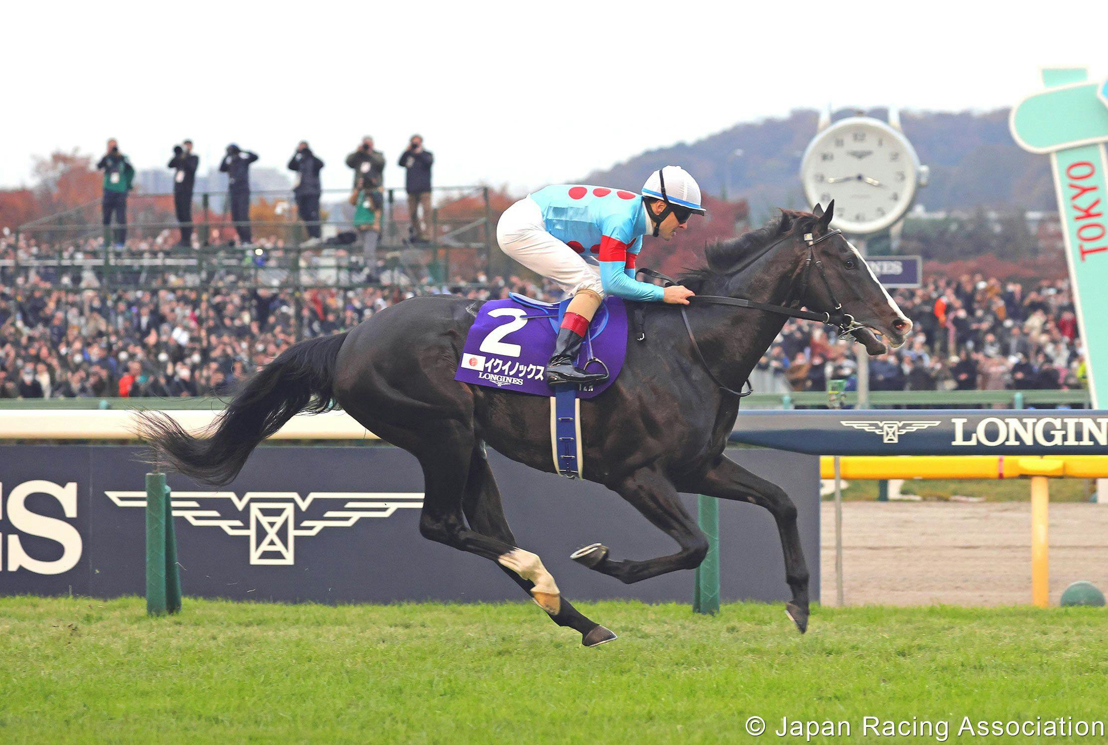 Equinox winning the Japan Cup (G1) at Tokyo Racecourse (Photo courtesy of the Japan Racing Association)