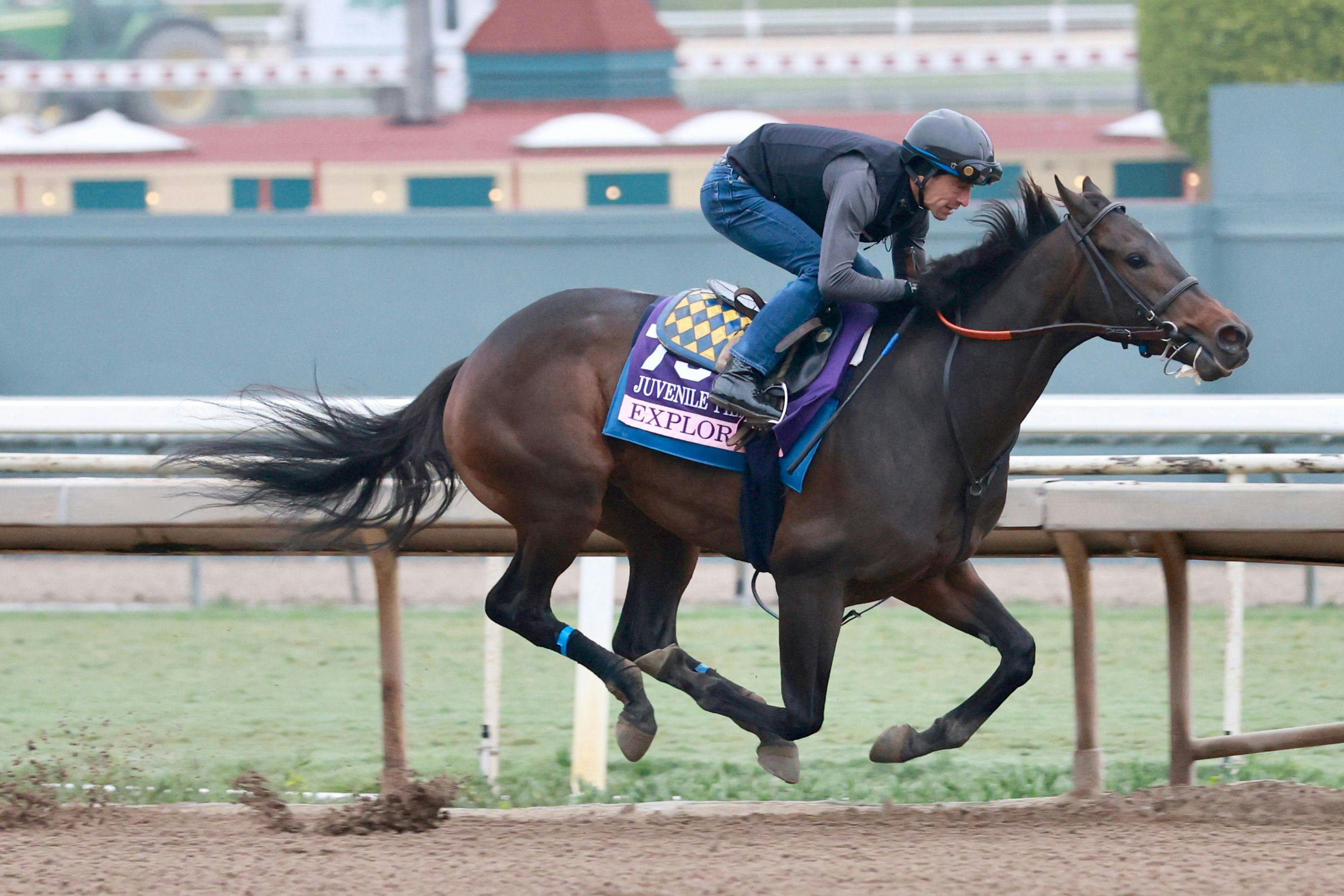 Explora training for the Breeders' Cup