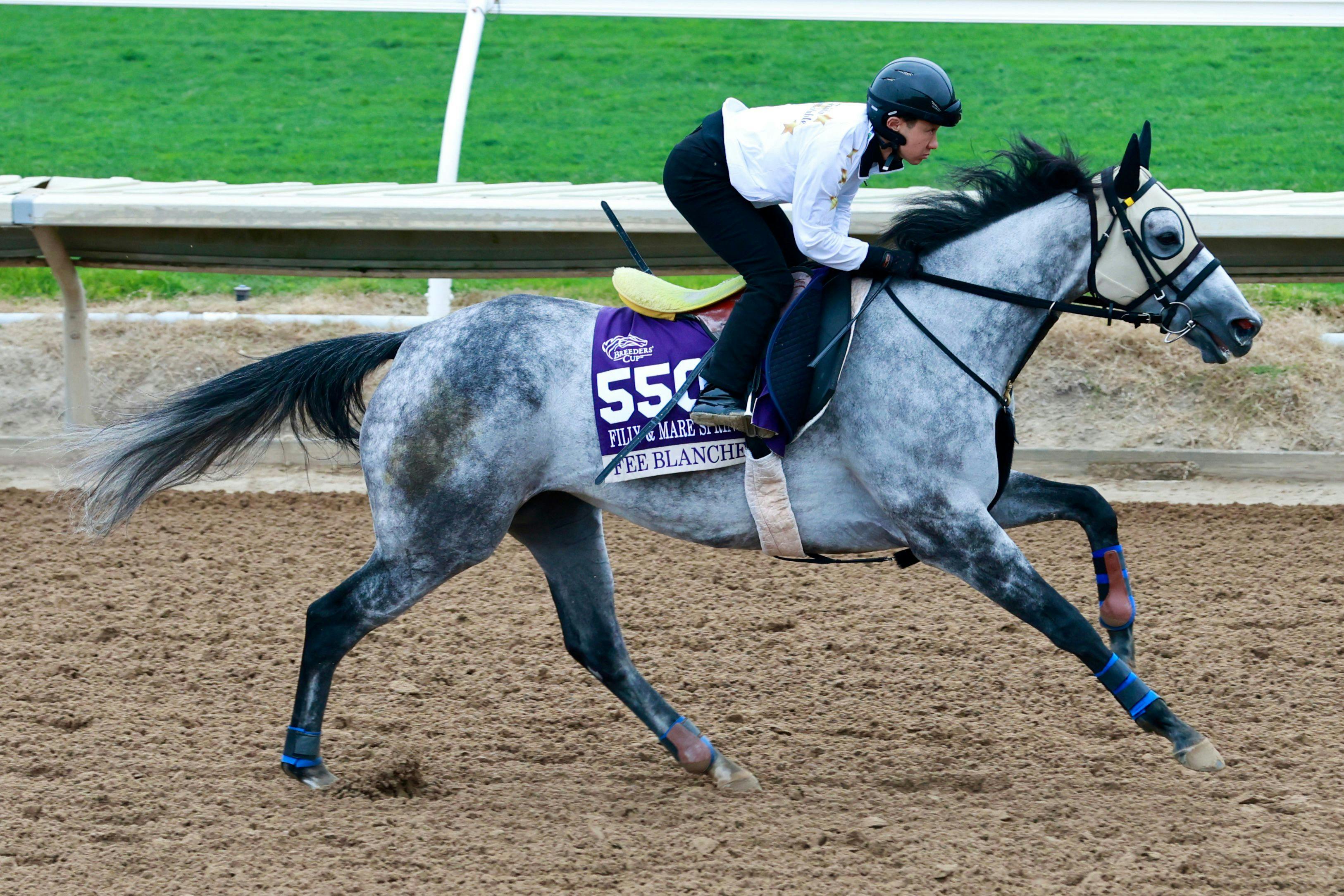 Fee Blance trains for the Breeders' Cup at Del Mar (Photo by Horsephotos.com)