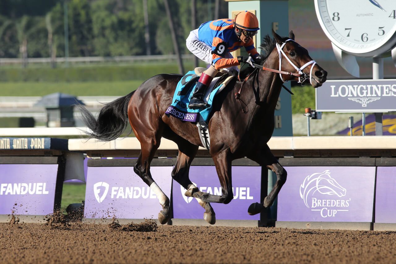 Kentucky Derby Pedigree Profile: Fierceness | TwinSpires