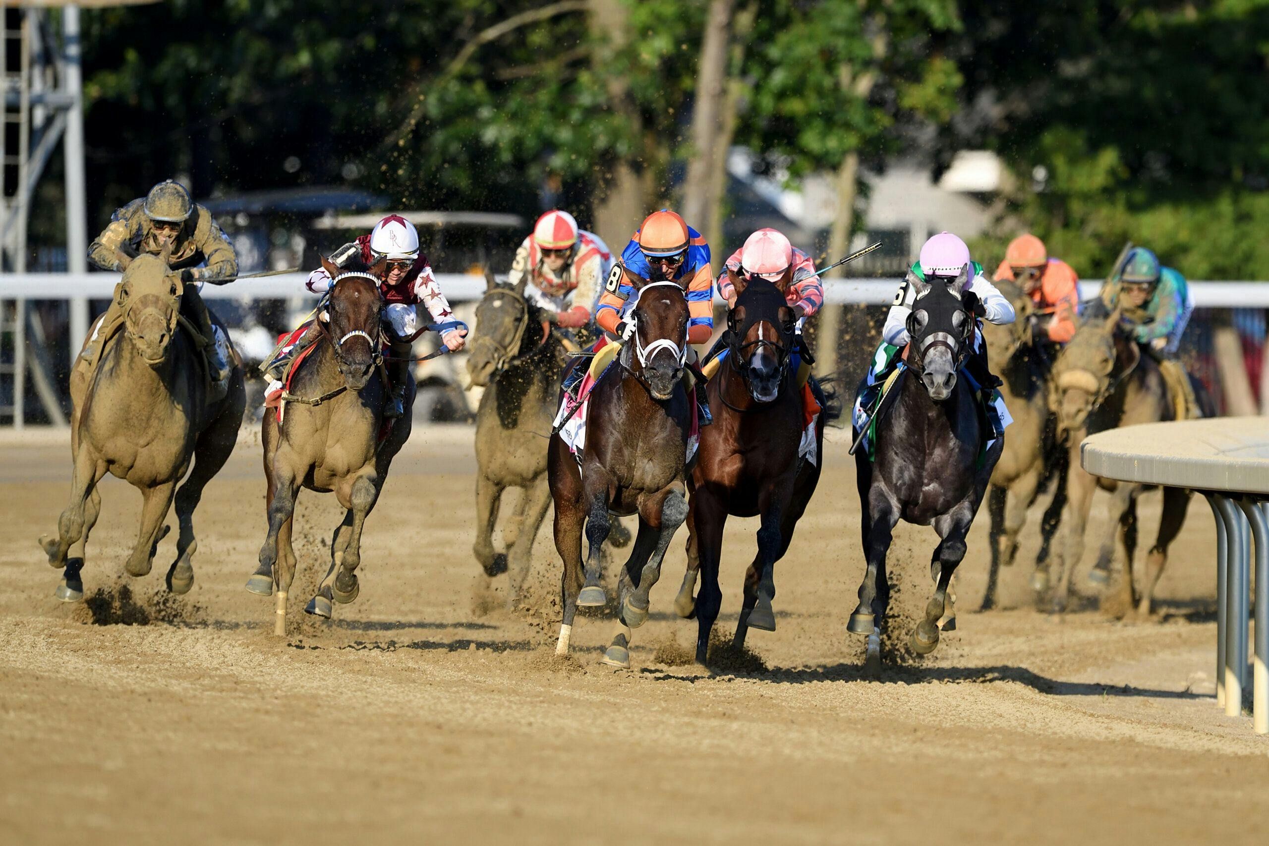 Fierceness turns for home in front in the Travers