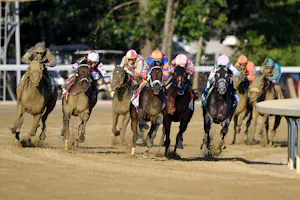 Fierceness turns for home in front in the Travers