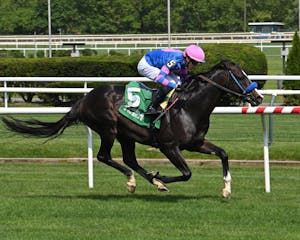 Friend Ofthe Devil wins the New York Stallion Stakes at Belmont at the Big A. 