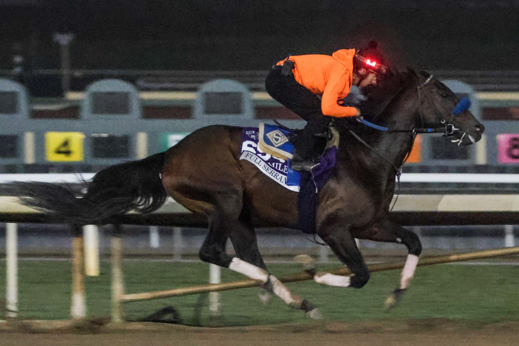 Full Serrano training for the Breeders Cup.