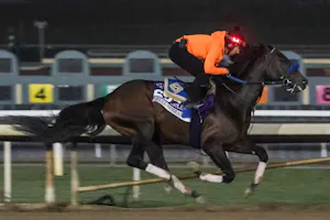Full Serrano training for the Breeders Cup.