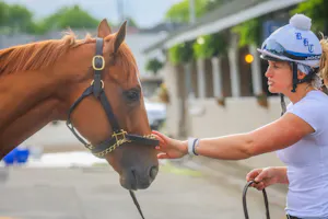 Further Ado at Churchill Downs for the Kentucky Derby (Photo by Horsephotos.com/Rickelle Neslon)