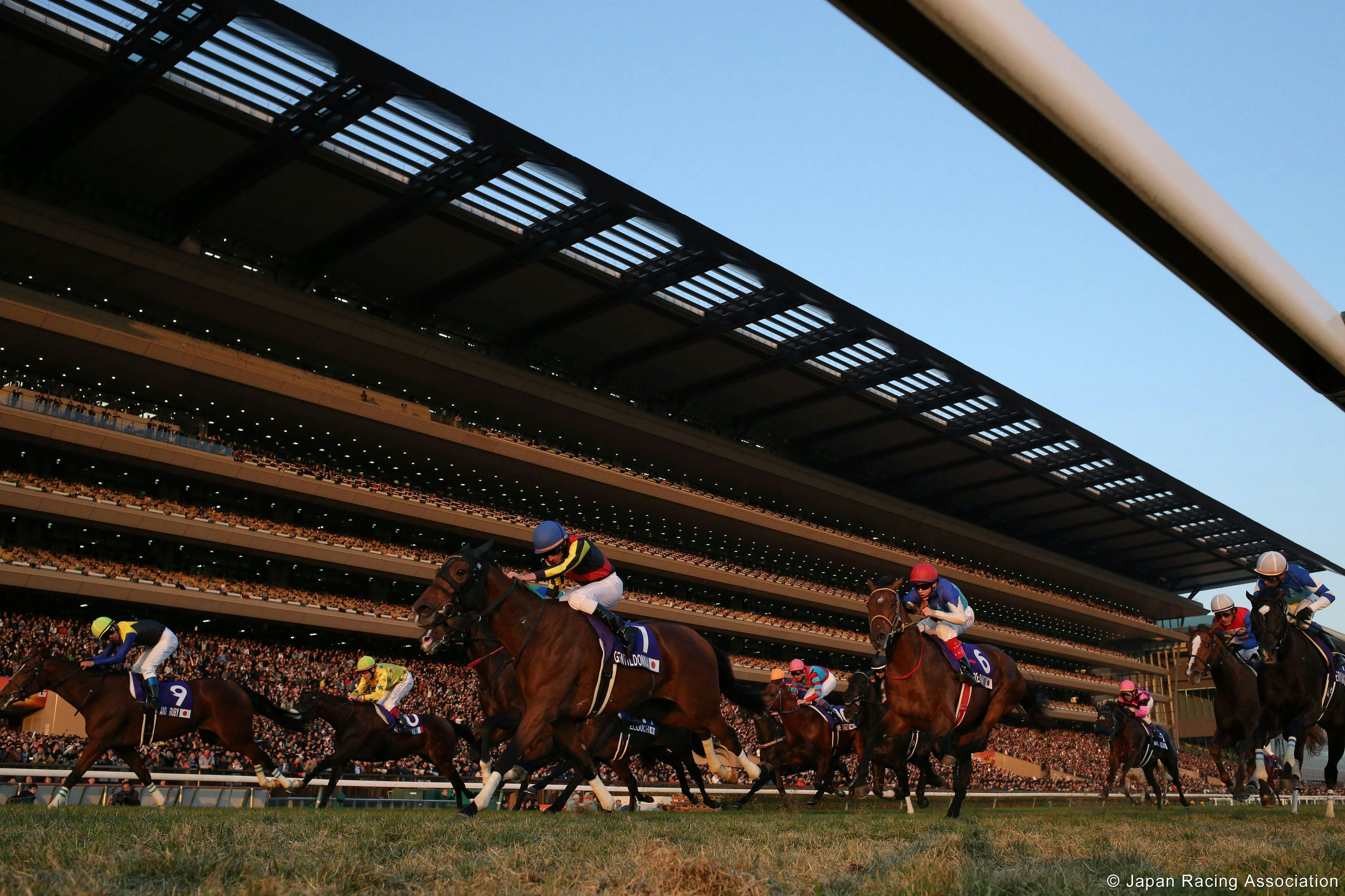 Gentildonna lunges for the wire in the 2013 Japan Cup