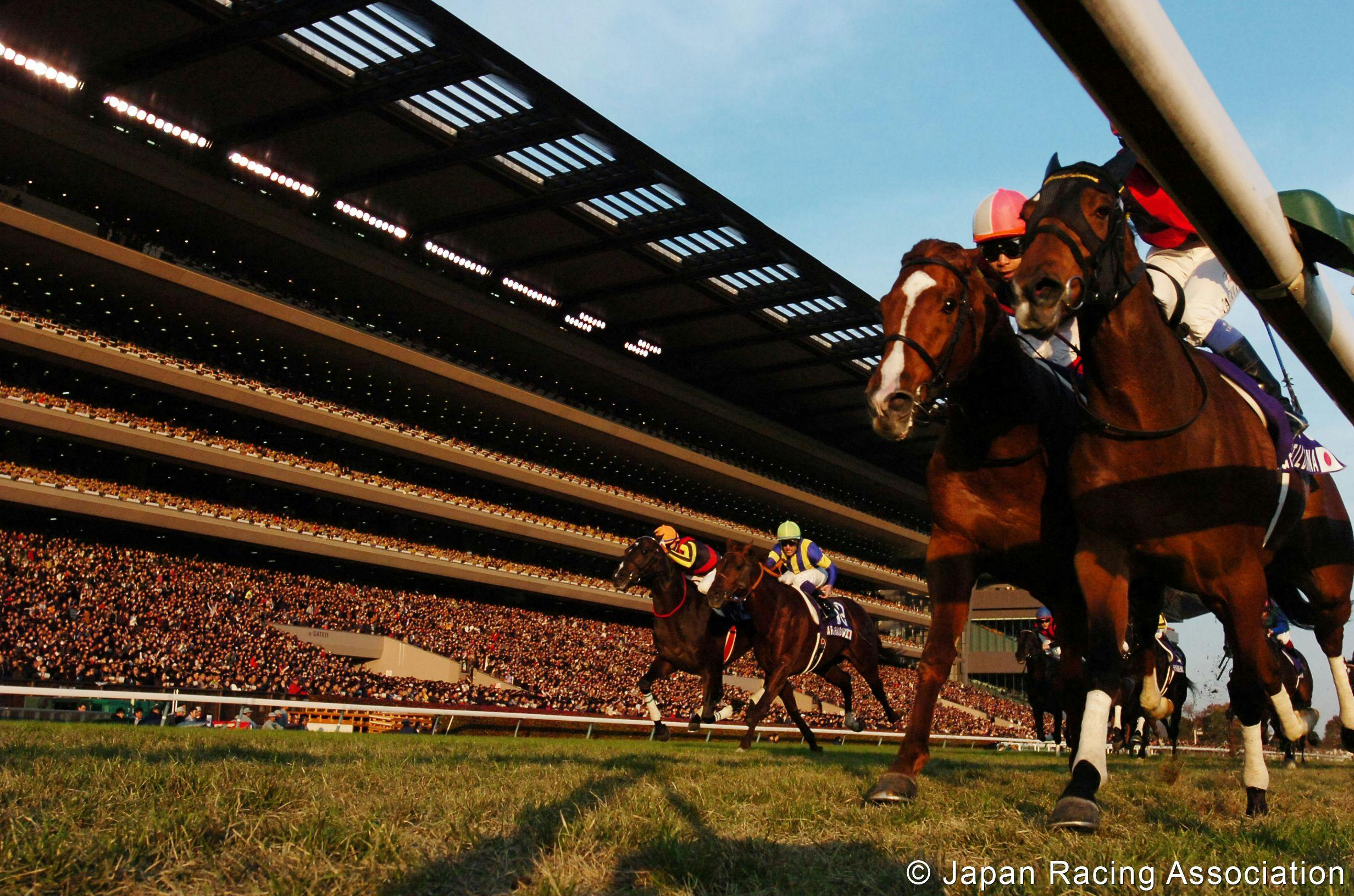 Gentildonna outduels Orfevre in the 2012 Japan Cup (G1)