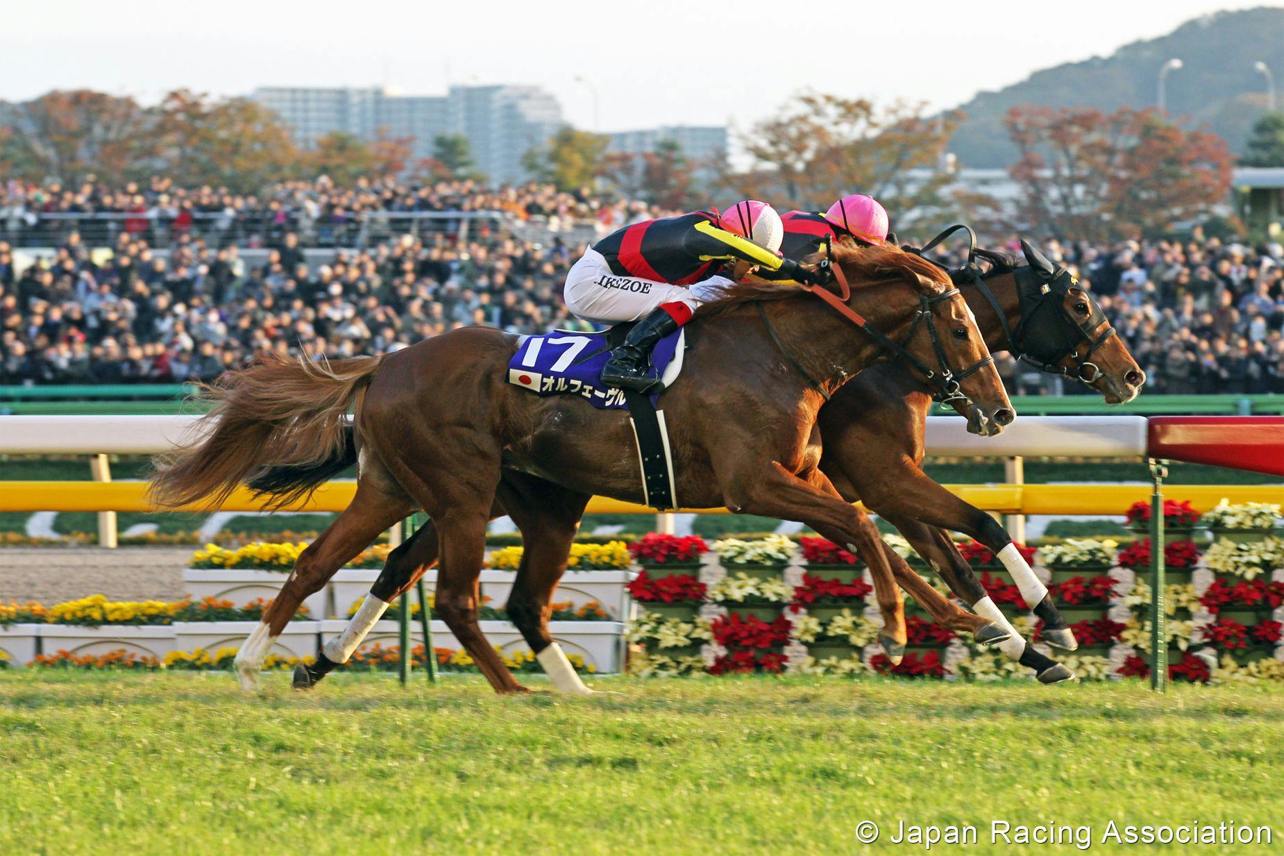 Gentildonna edges Orfevre in the 2012 Japan Cup (G1)