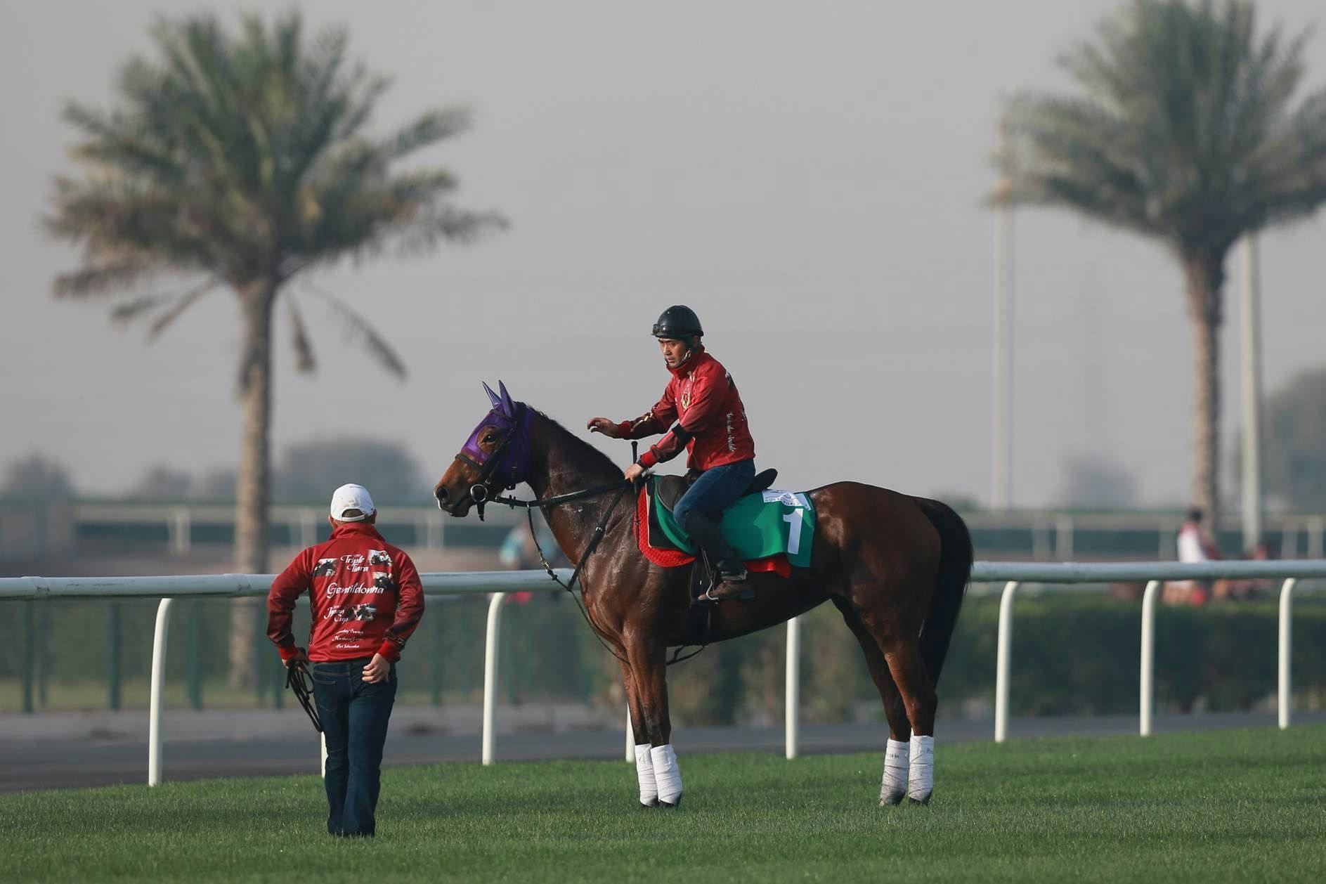 Gentildonna cuts an imposing figure in Dubai