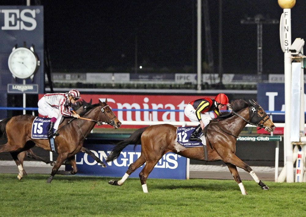 Gentildonna beats Cirrus des Aigles in the 2014 Dubai Sheema Classic (G1)