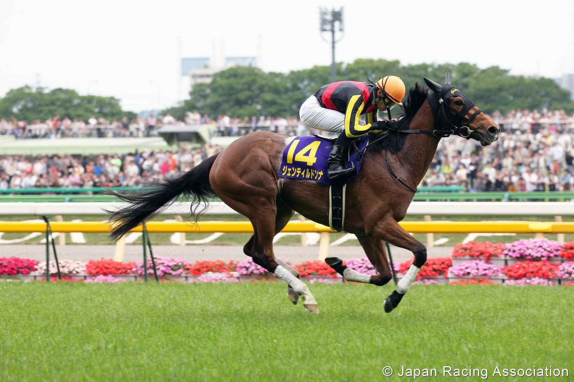 Gentildonna romped to a new stakes record in the 2012 Japanese Oaks (G1)