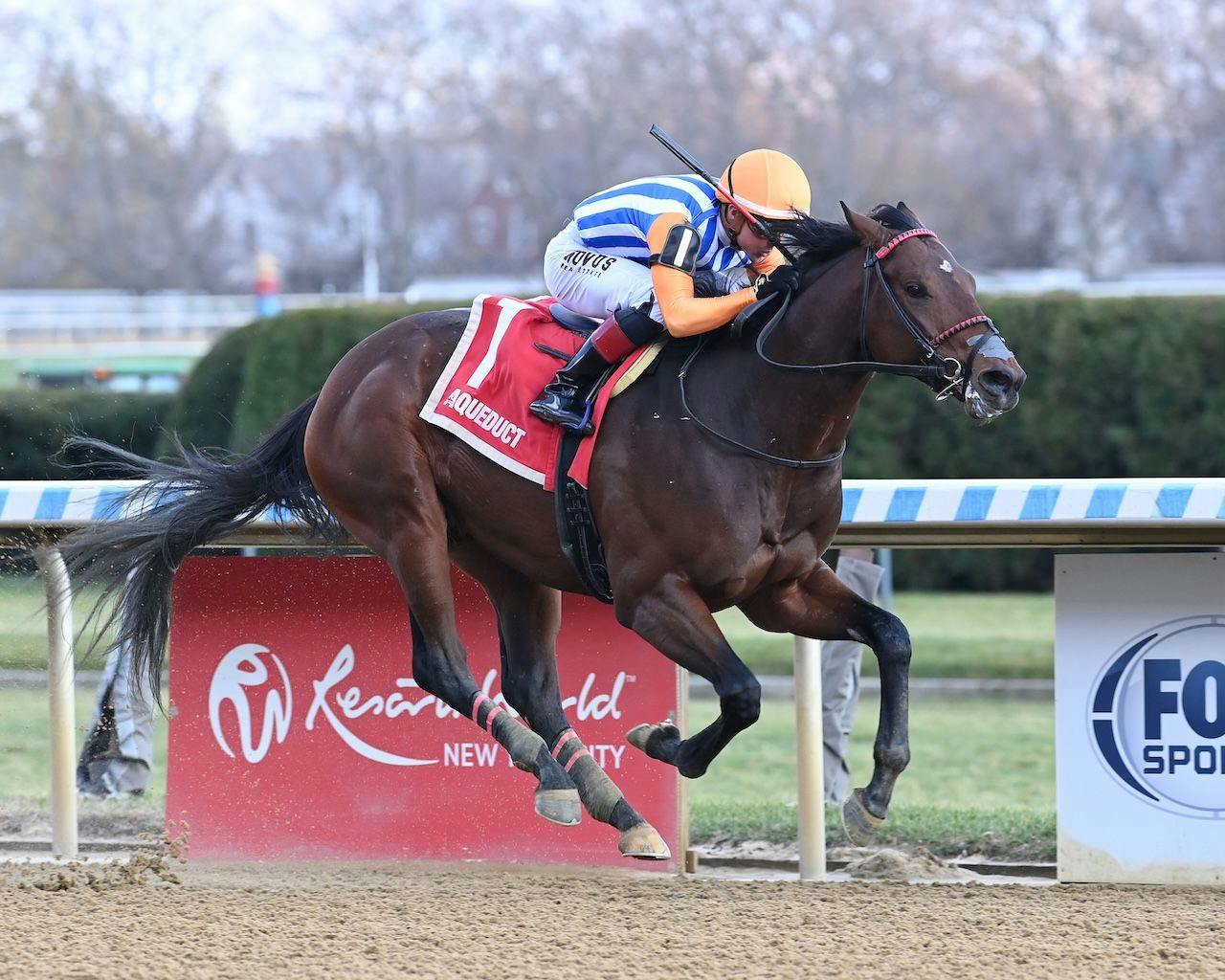 Georgia Magic wins at Aqueduct. 