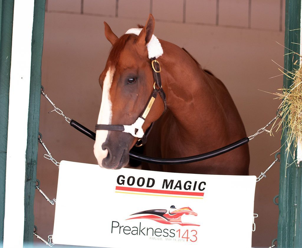 Pedigree Notebook Good Magic Off To Flying Start As Classic TwinSpires   Goodmagic 2018preakness Jimmcue MJC 23e3a57205 