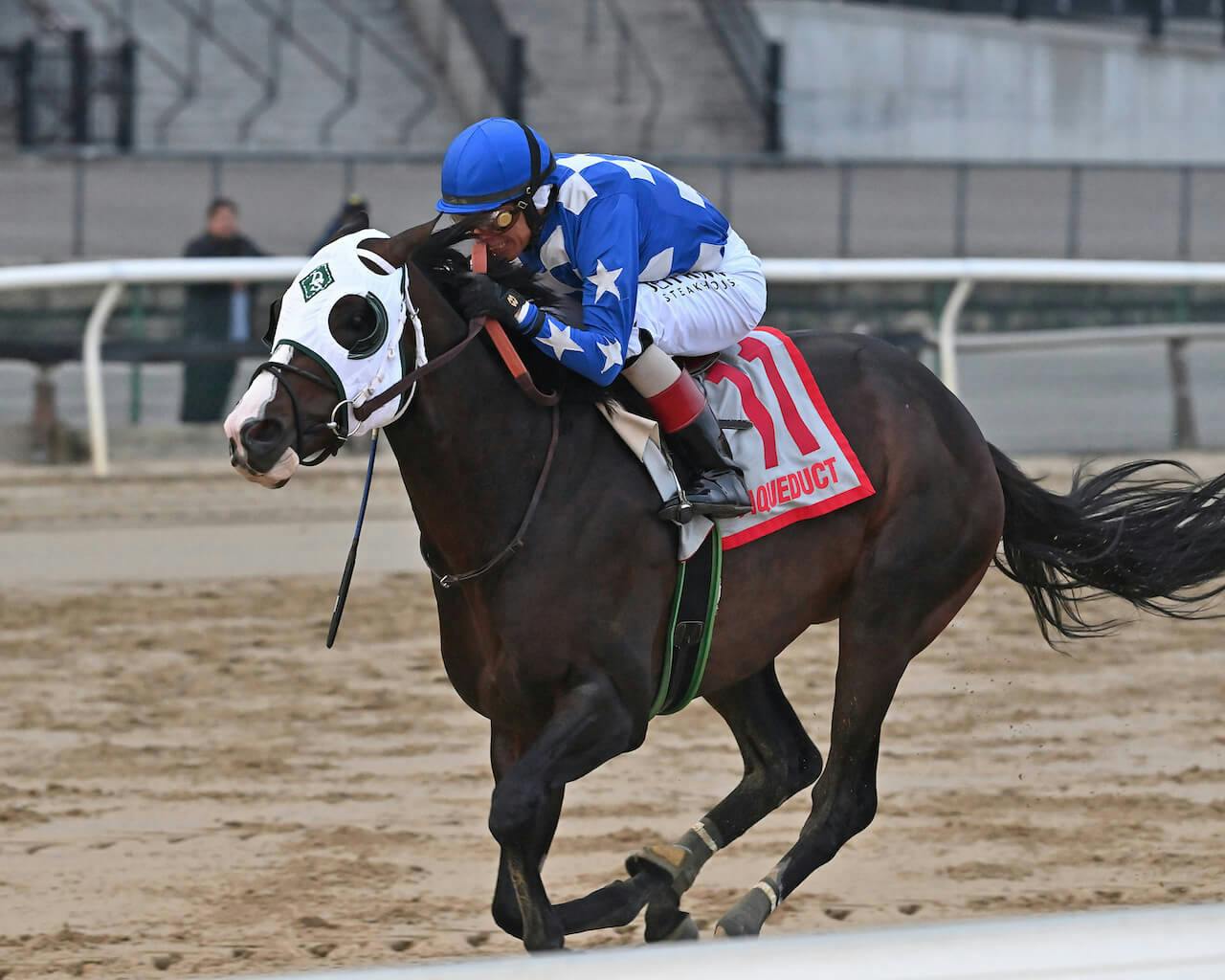 Hoist the Gold winning the 2023 Cigar Mile