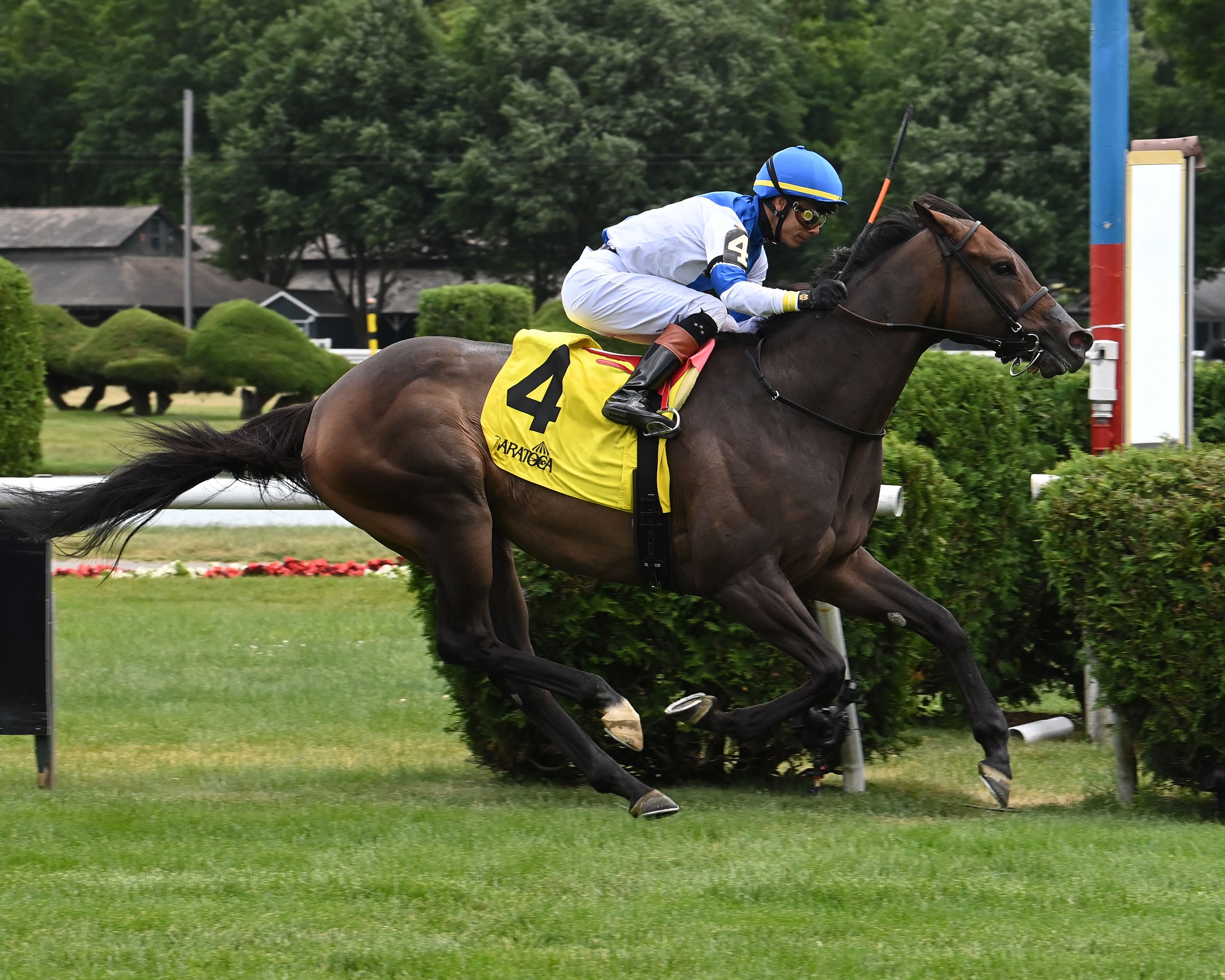 Ice Chocolat wins the Poker Stakes at Saratoga