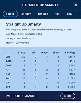 Bet like the Pros!